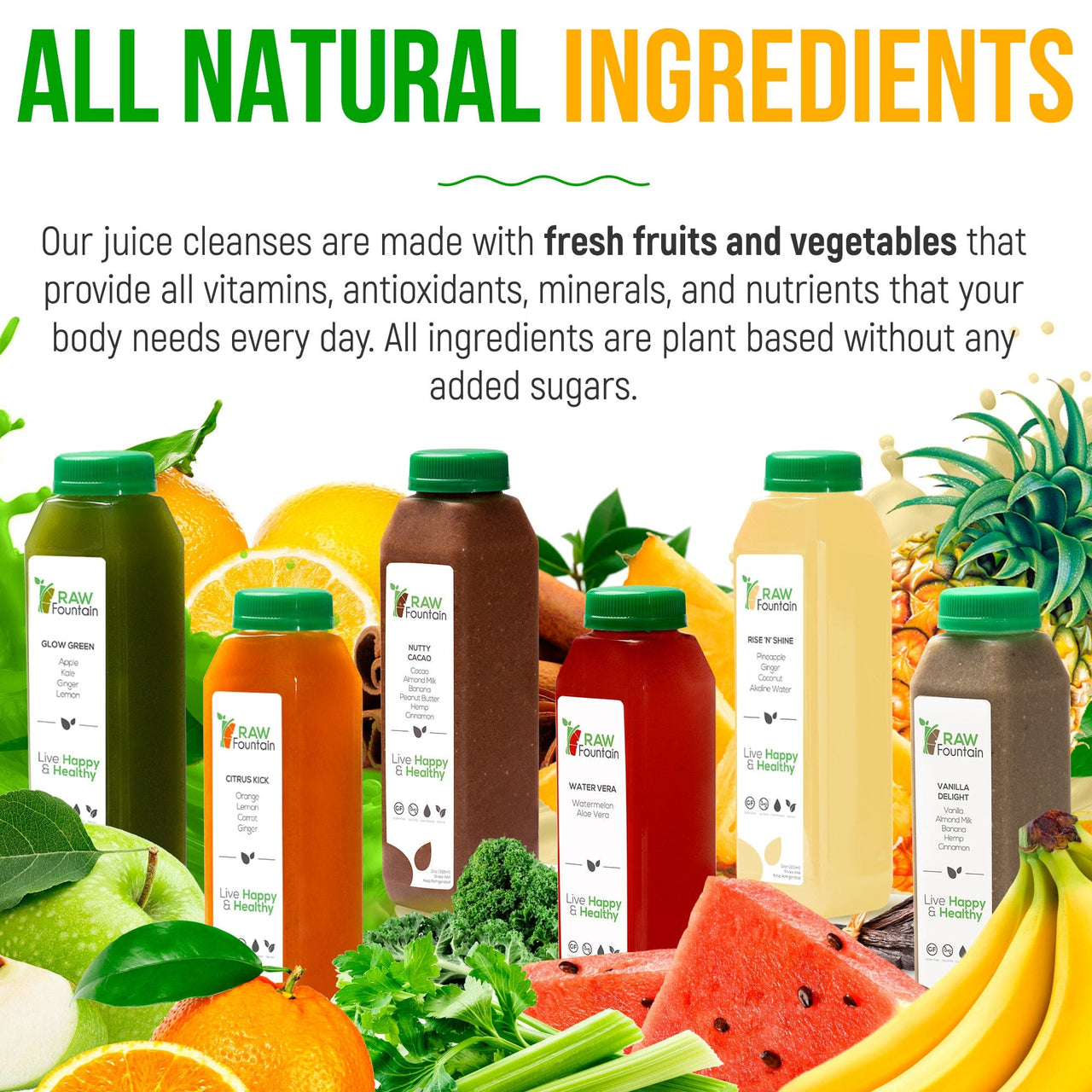 Protein Cleanse view 3
